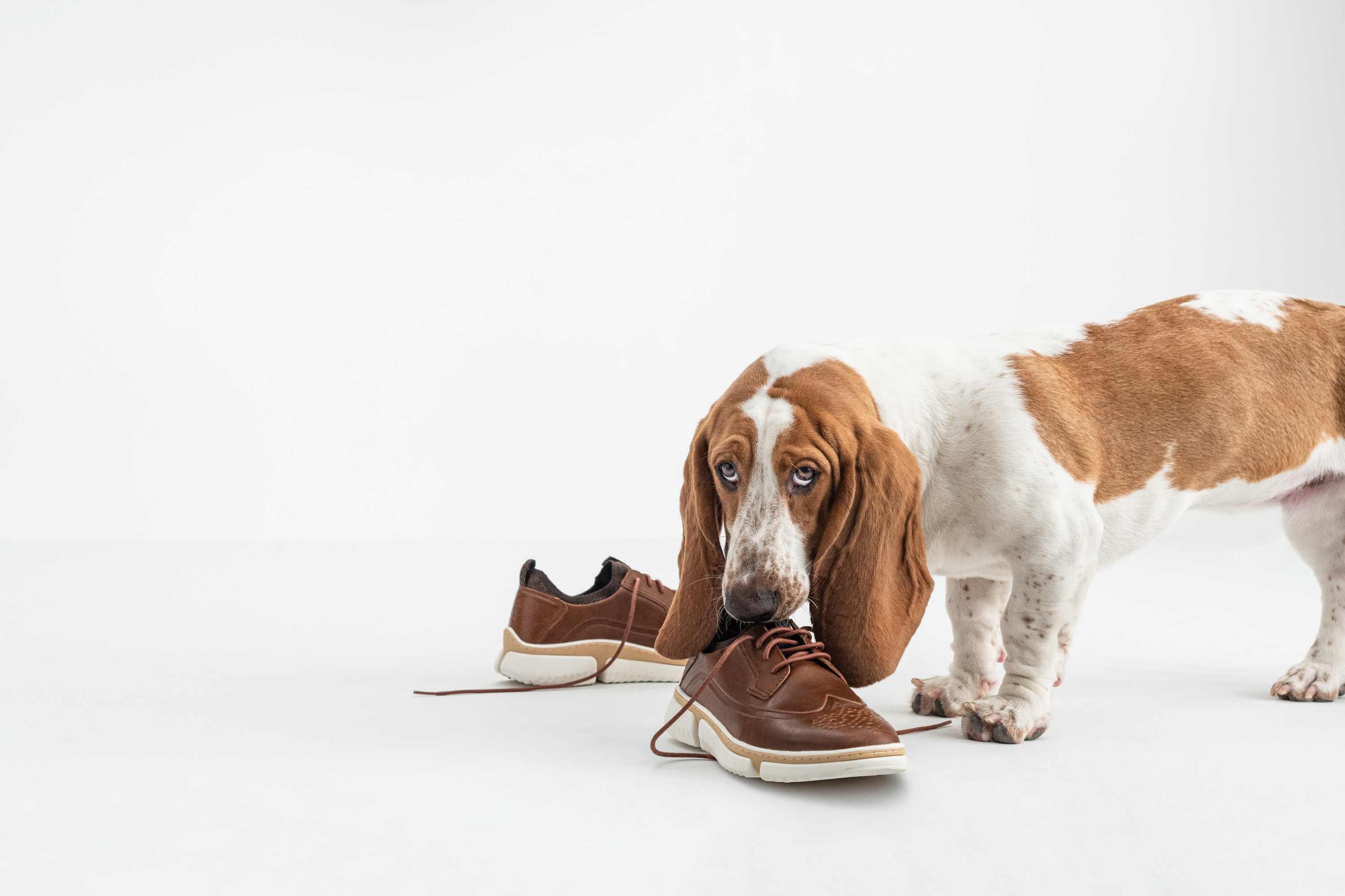 HUSH PUPPIES SHOES